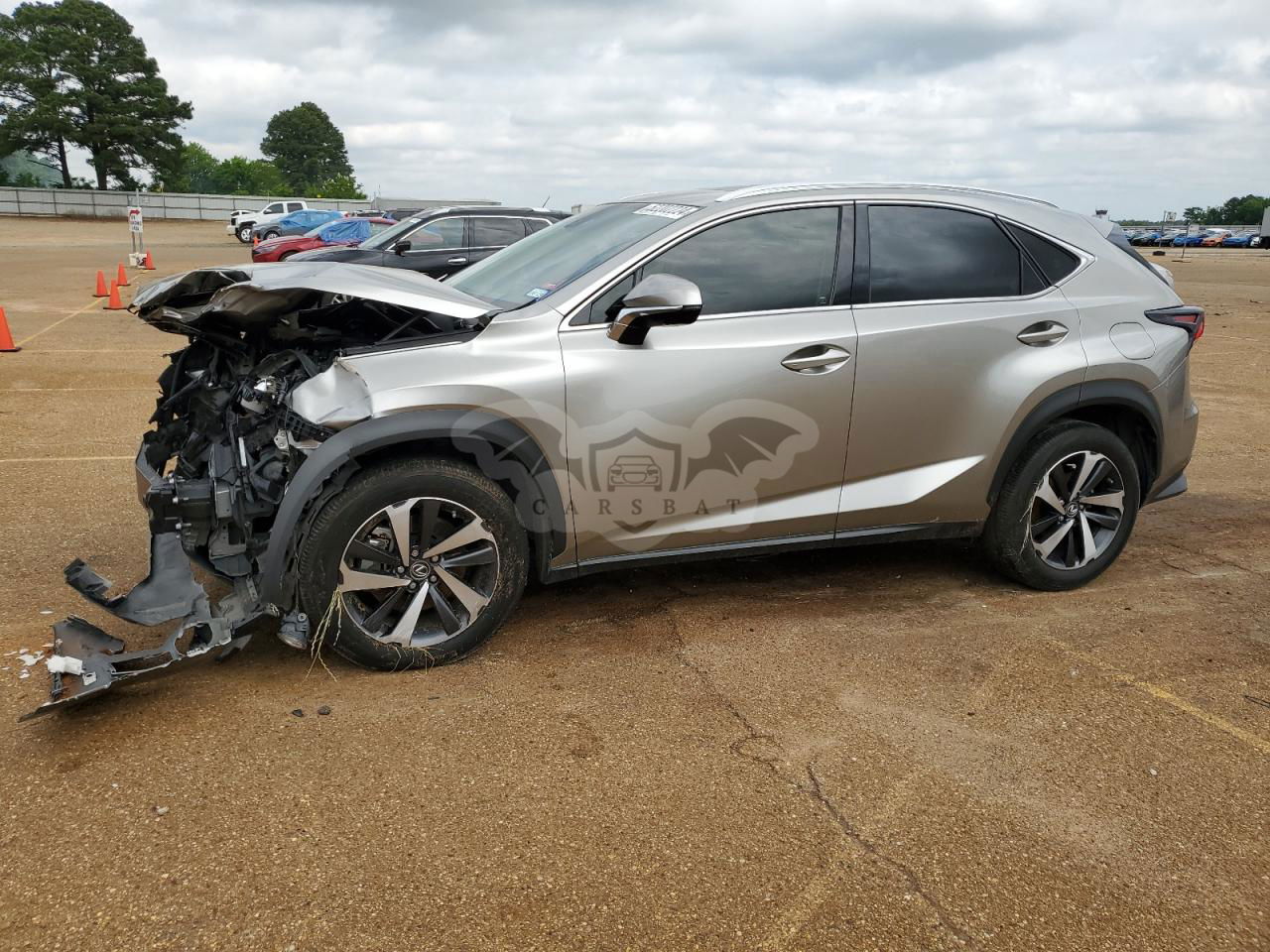 Lexus NX 2020