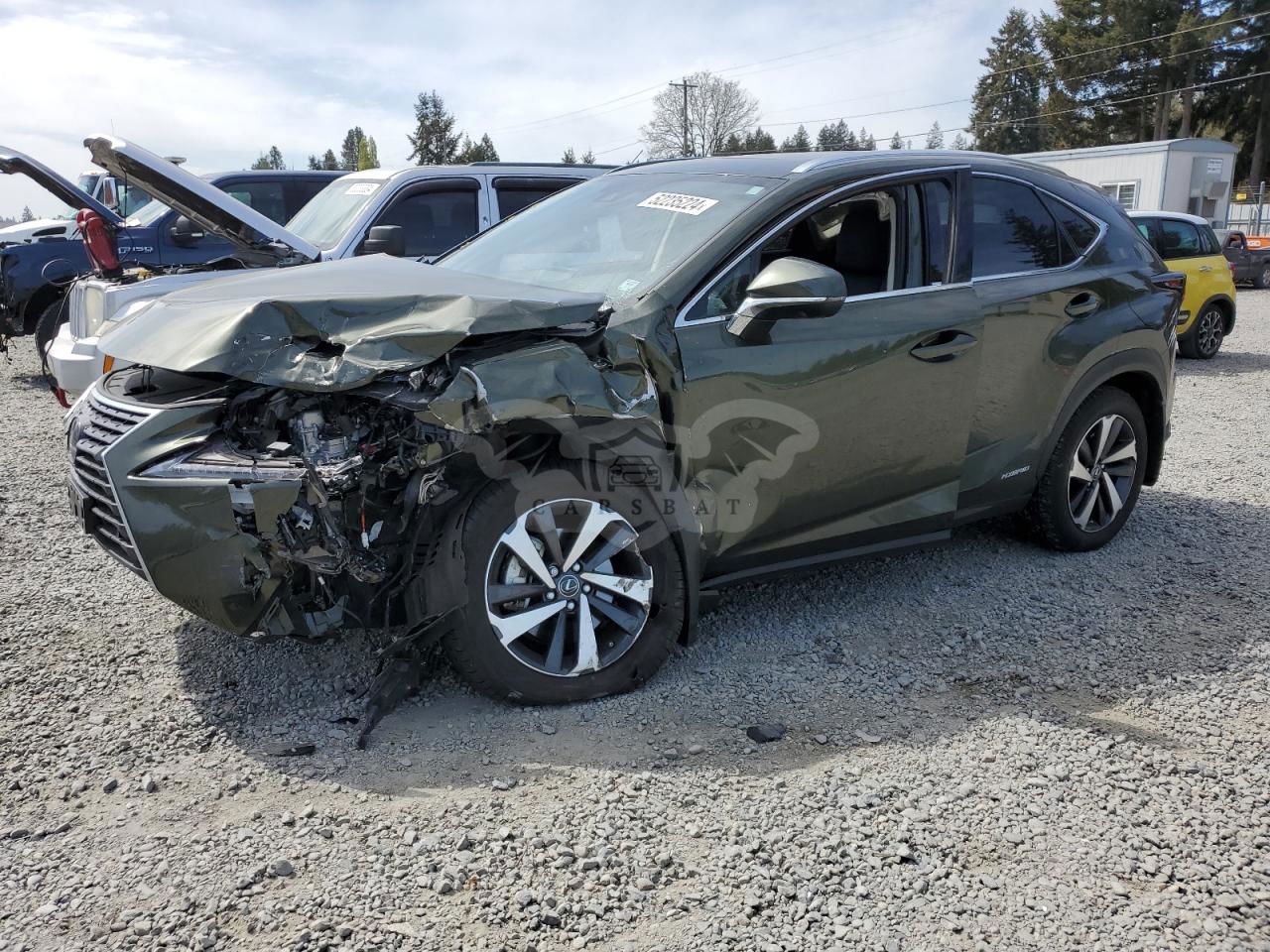 Lexus NX 2021