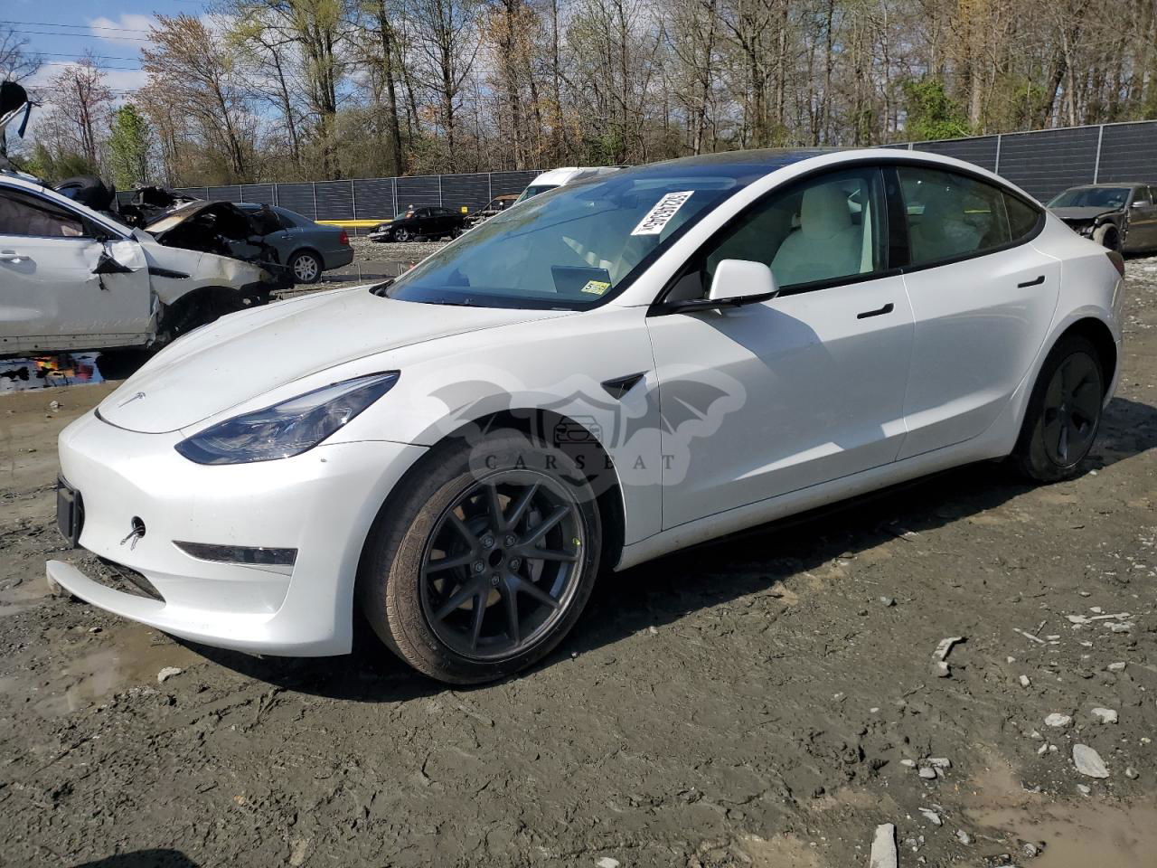 Tesla Model 3 2023