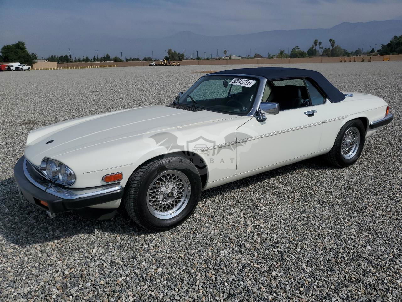 Jaguar XJS 5.3L 12 1989