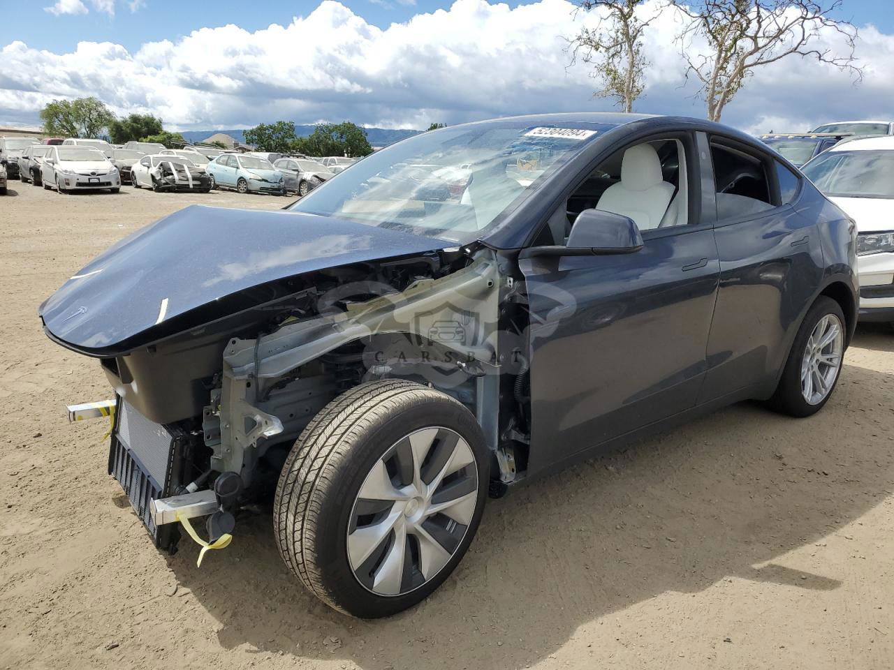 Tesla Model Y 2024
