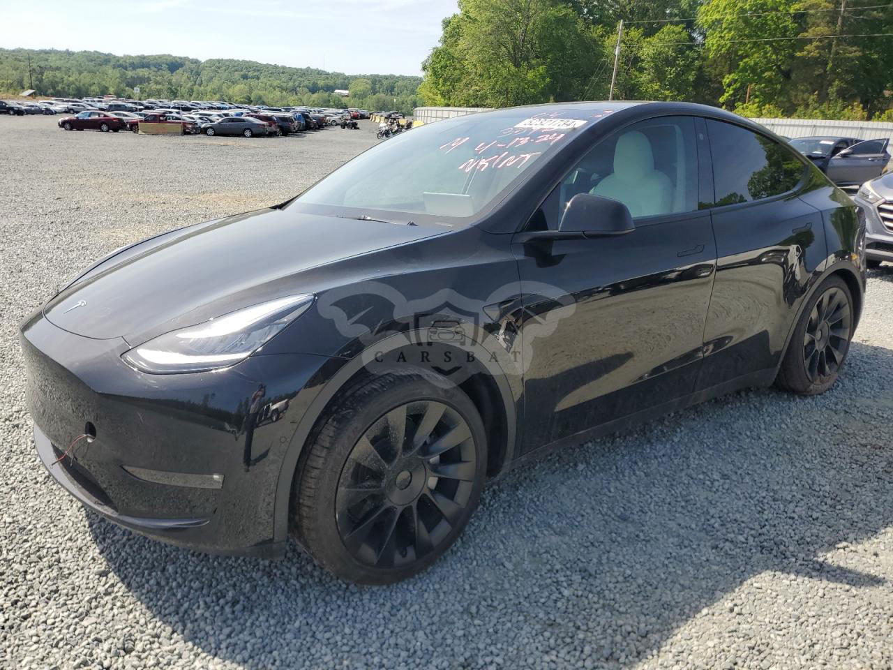 Tesla Model Y 2021