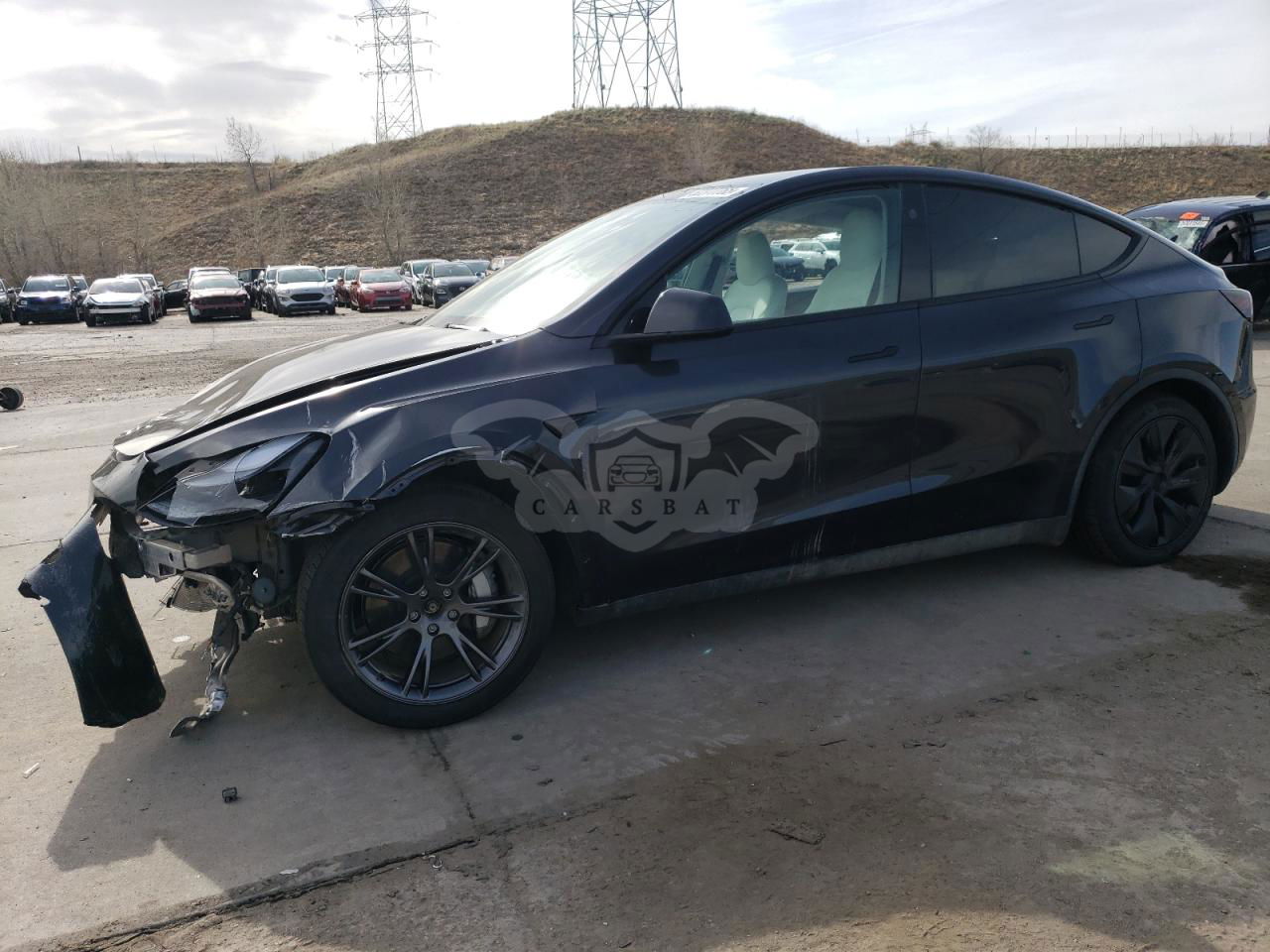 Tesla Model Y 2024