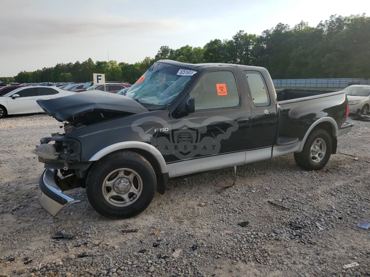 Ford F-150 5.4L  8 1997