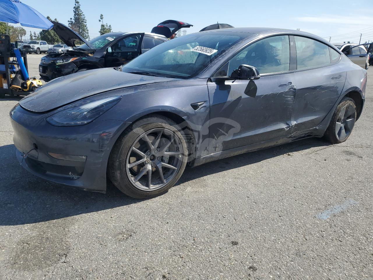 Tesla Model 3 2022