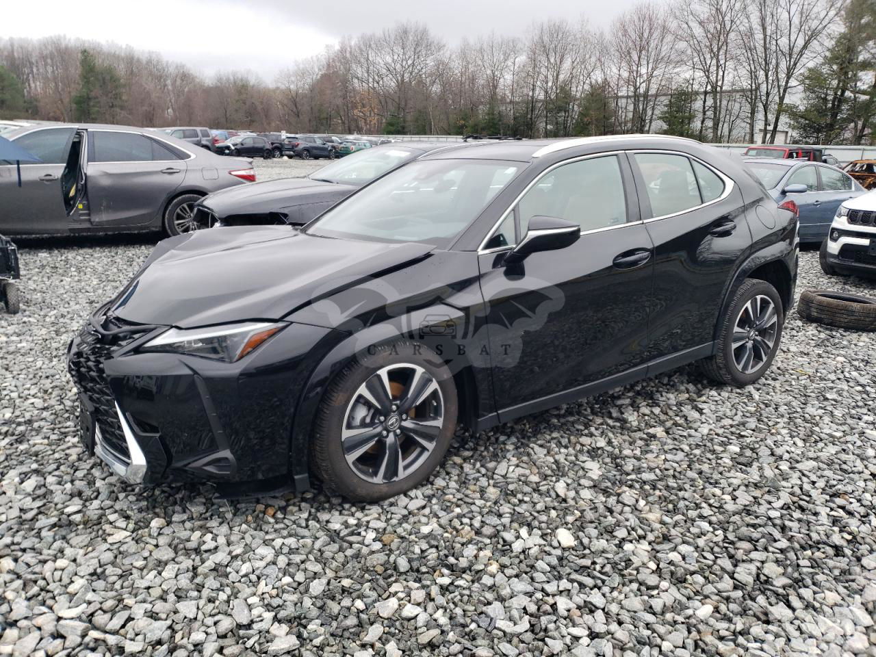 Lexus UX 250H PREMIUM 2.0L  4 2024