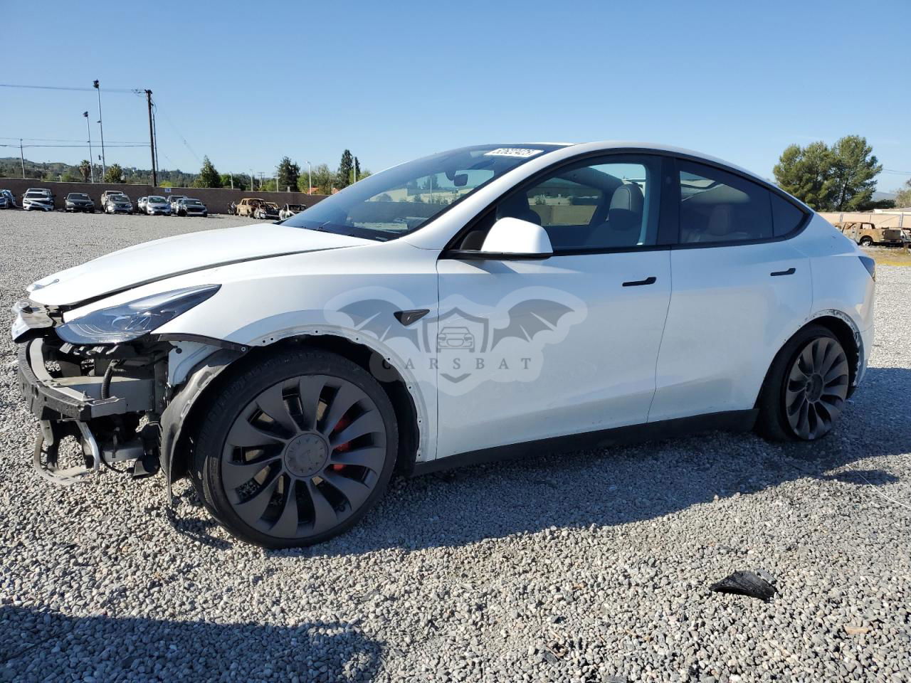 Tesla Model Y 2024