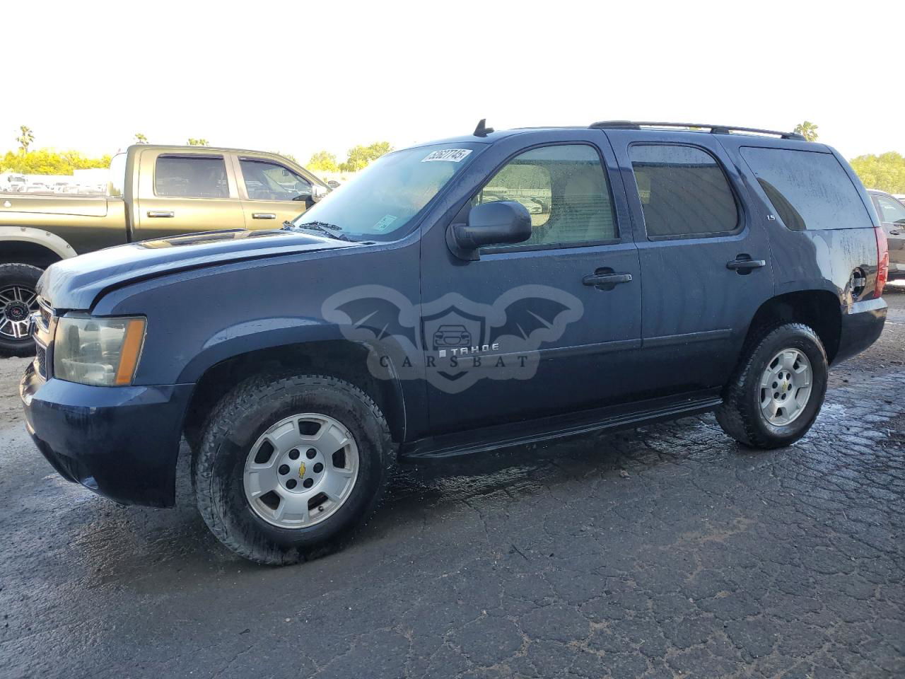 Chevrolet Tahoe C1500 LS 4.8L  8 2009