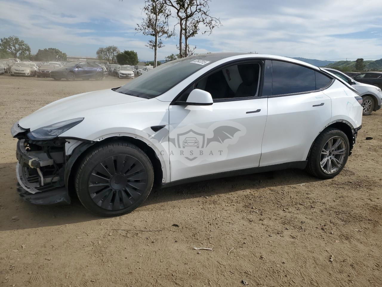 Tesla Model Y 2020