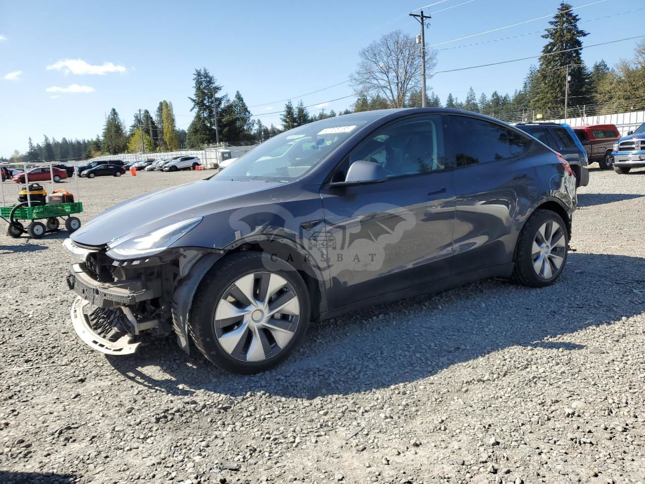 Tesla Model Y 2020