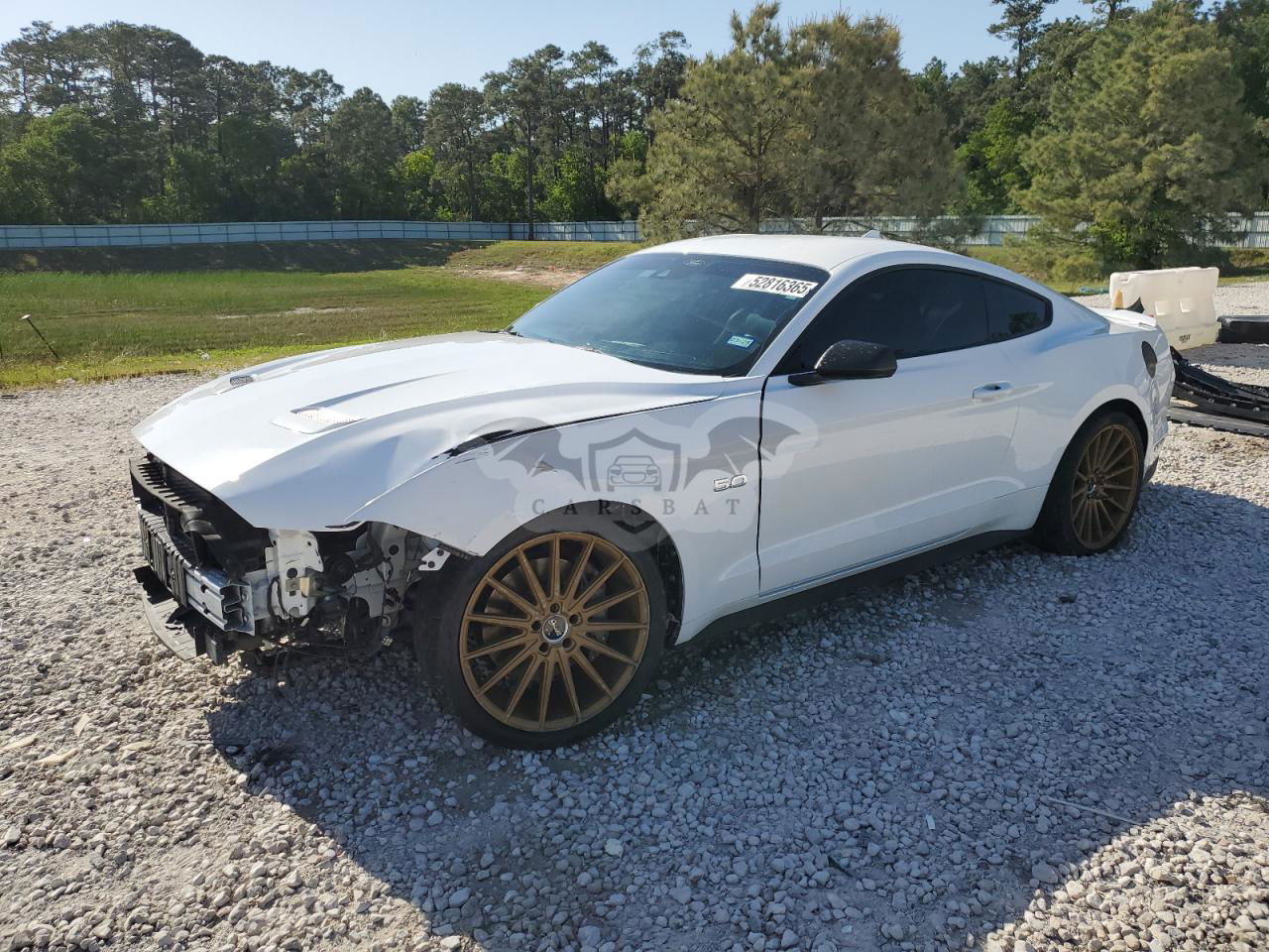 Ford Mustang GT 5.0L  8 2021