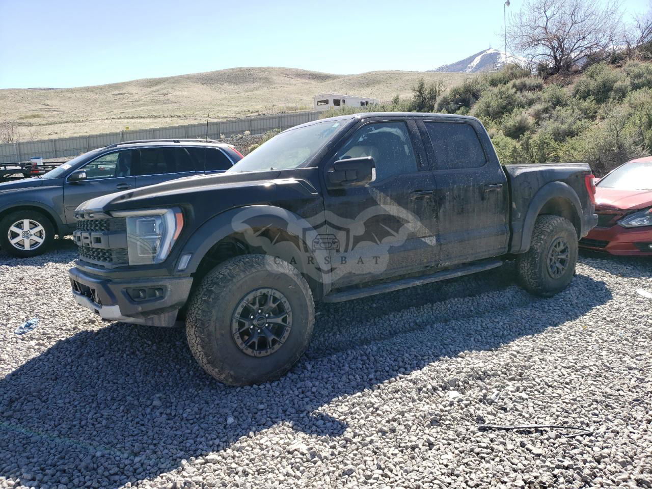 Ford F-150 RAPTOR 3.5L  6 2022