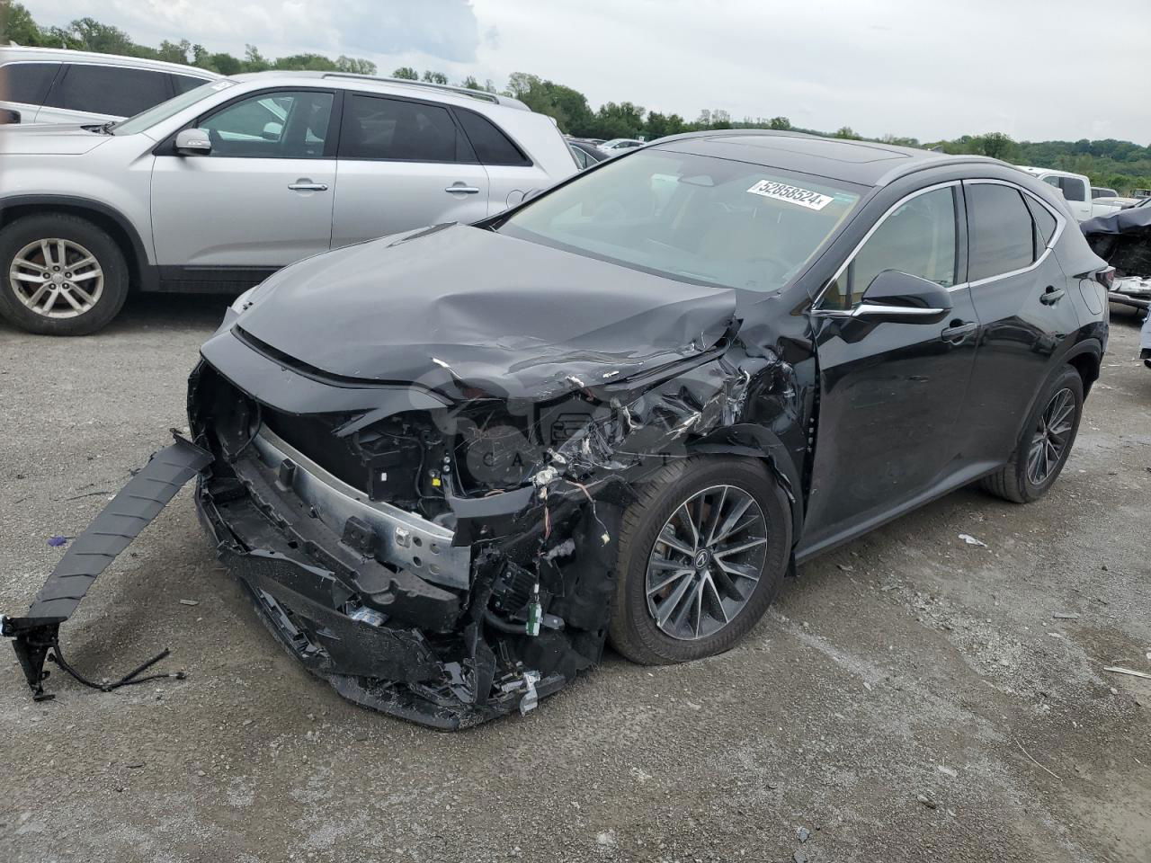 Lexus NX 2024