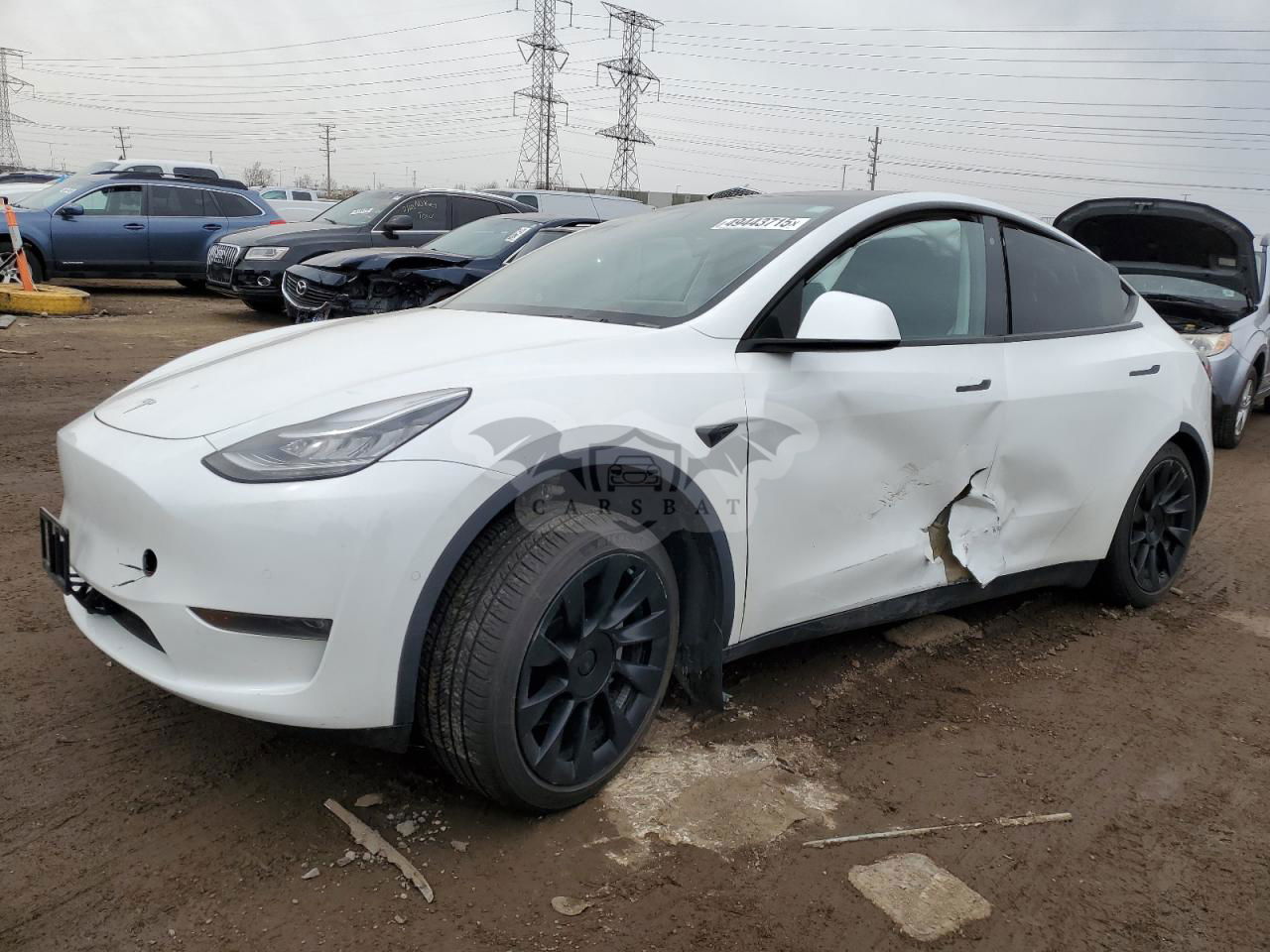 Tesla Model Y 2020
