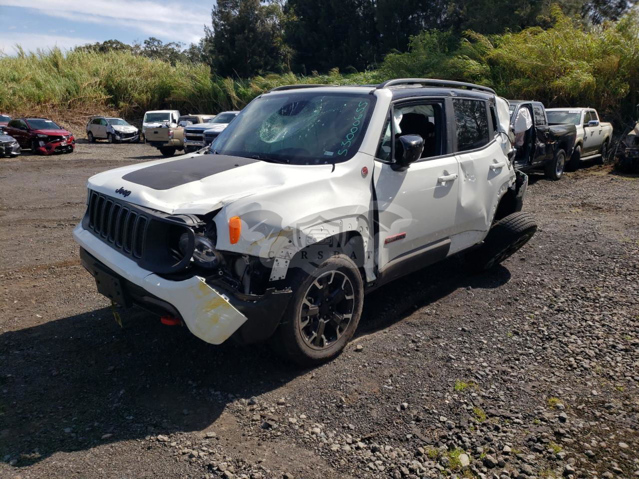 Jeep Renegade TRAILHAWK 1.3L  4 2023