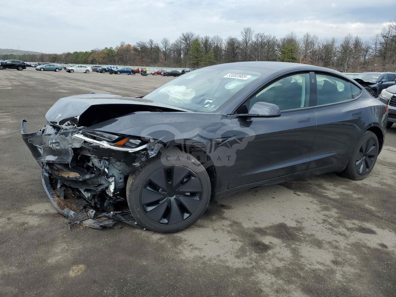 Tesla Model 3 2025