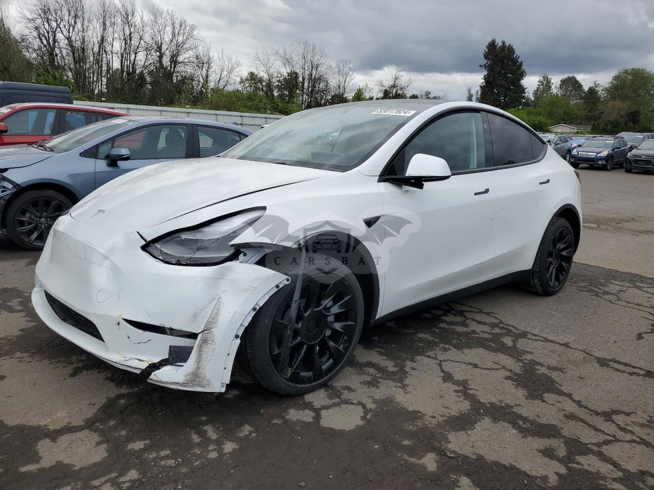 Tesla Model Y 2024