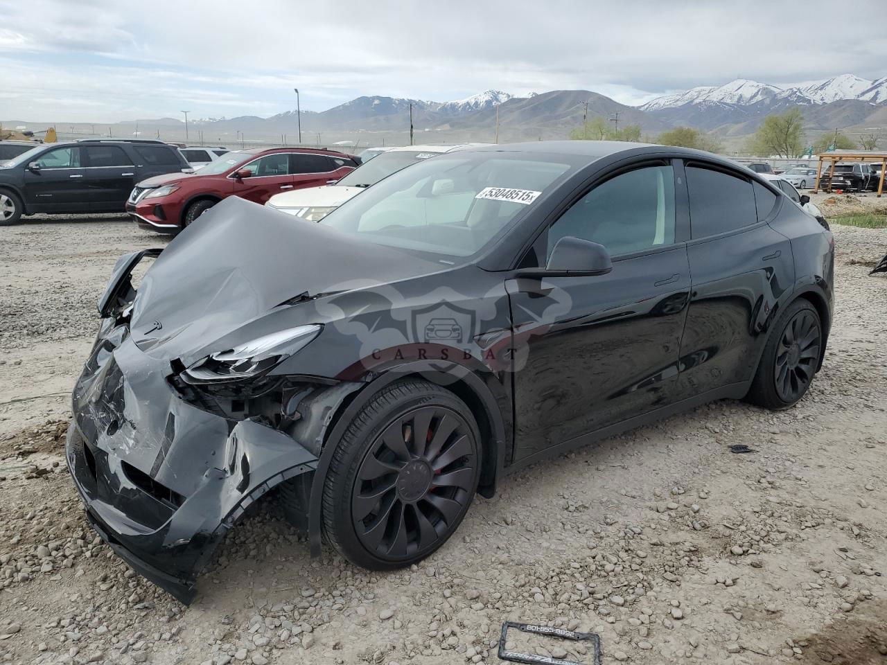 Tesla Model Y 2024