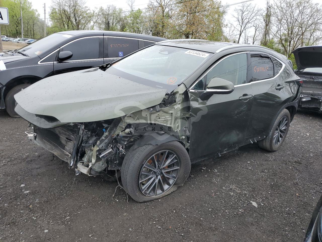 Lexus NX 2024