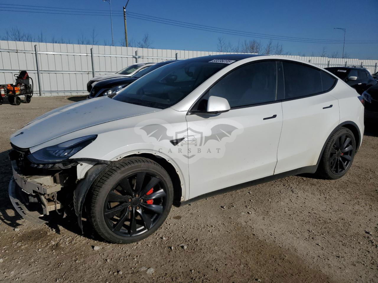 Tesla Model Y 2020