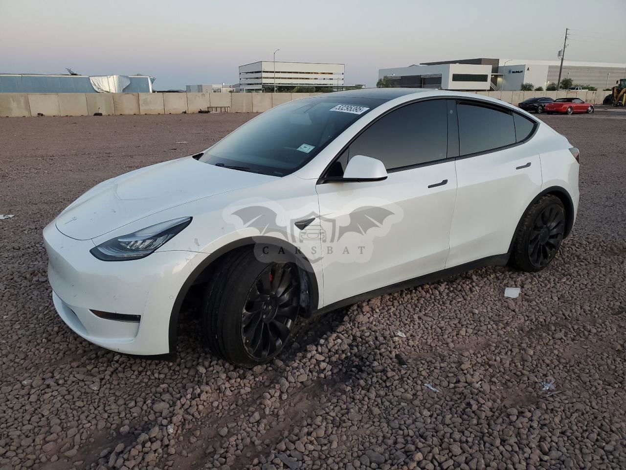 Tesla Model Y 2020