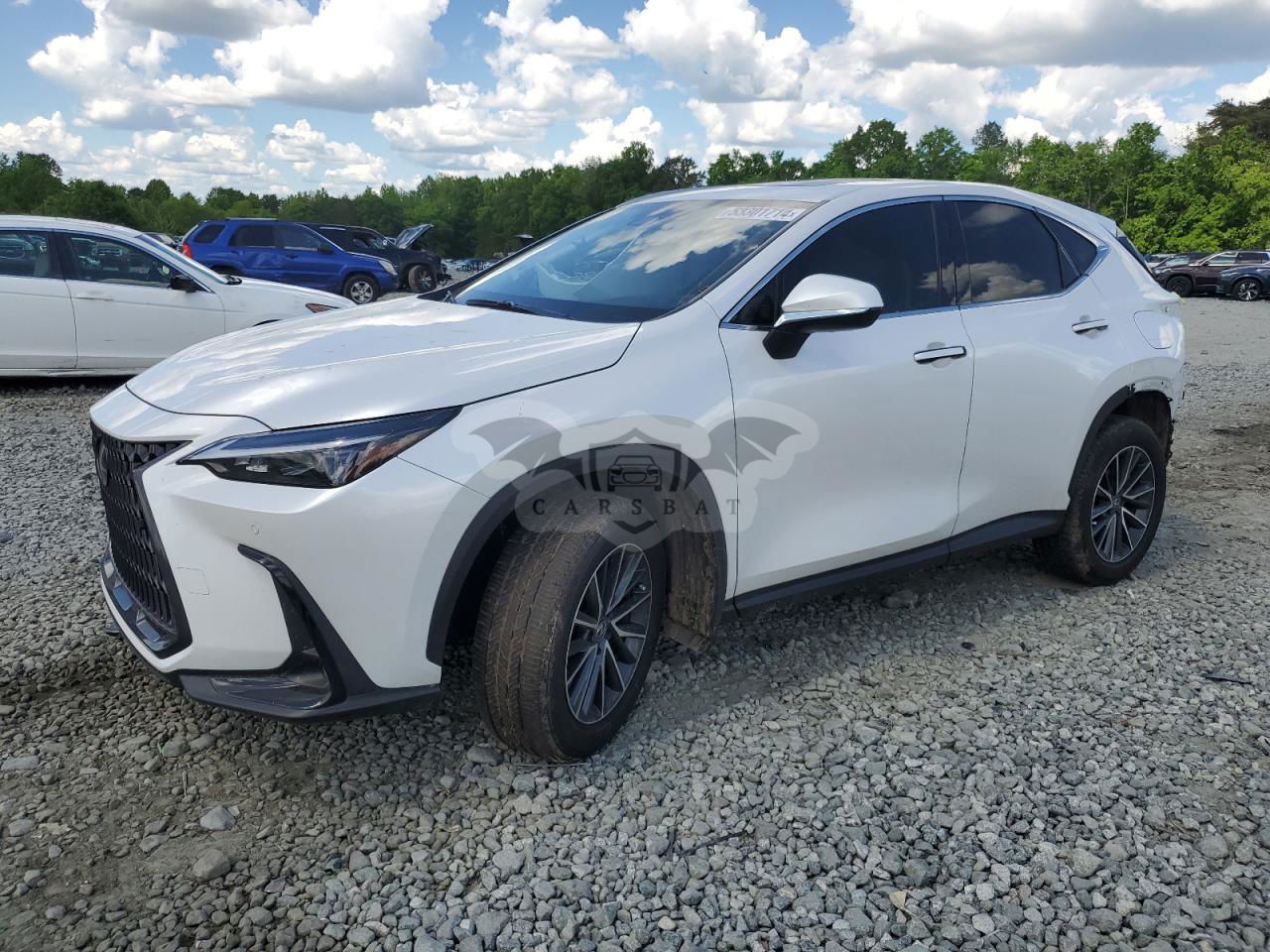 Lexus NX 2024