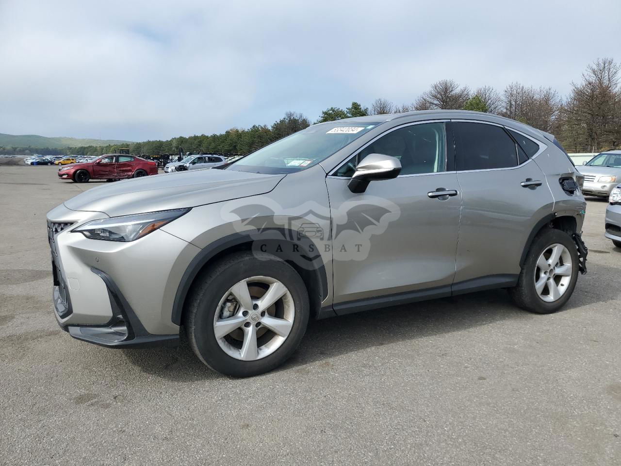 Lexus NX 2024