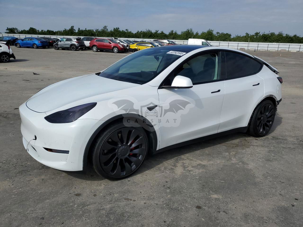 Tesla Model Y 2022