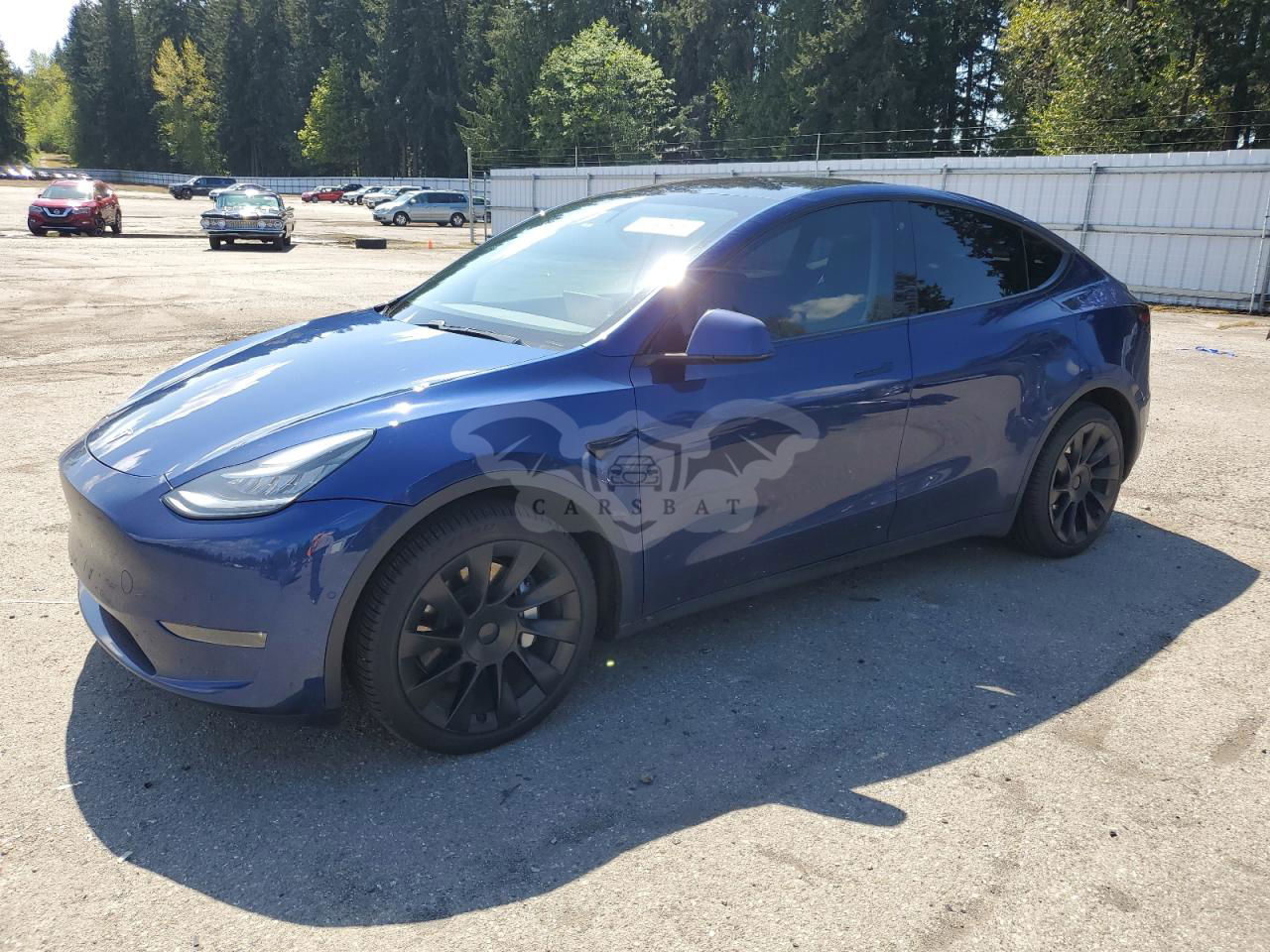 Tesla Model Y 2020