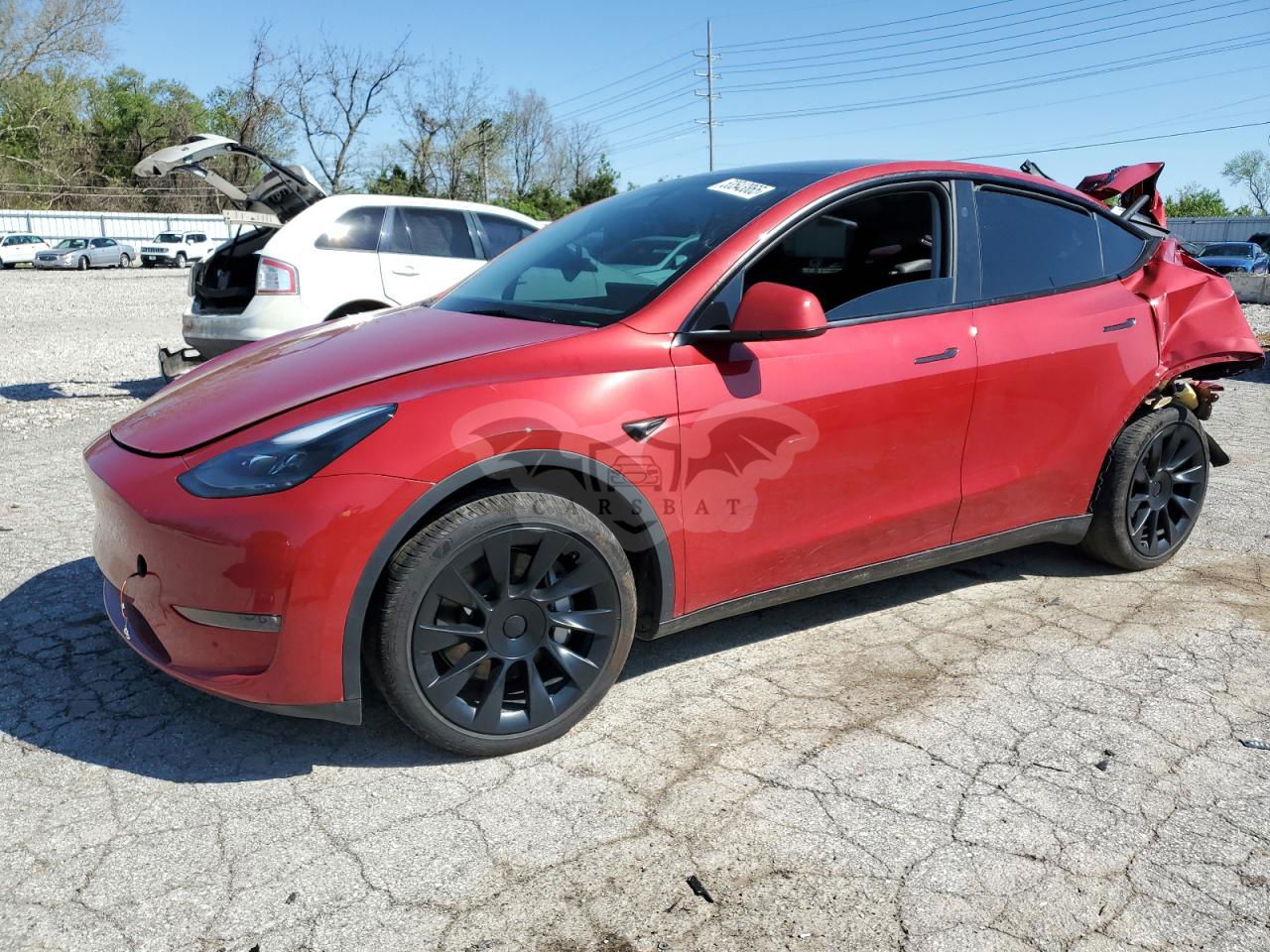 Tesla Model Y 2024