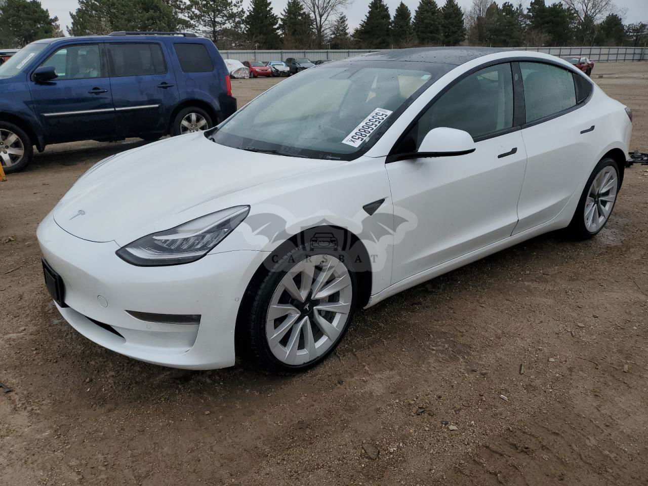 Tesla Model 3 2022