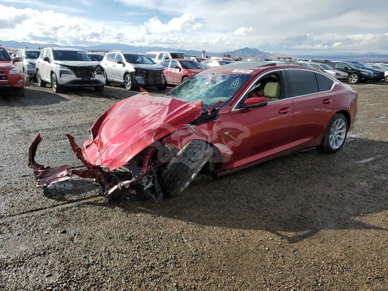Cadillac CT5 LUXURY 2.0L  4 2024