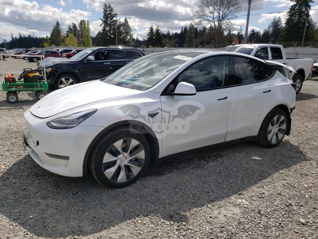 Tesla Model Y 2020