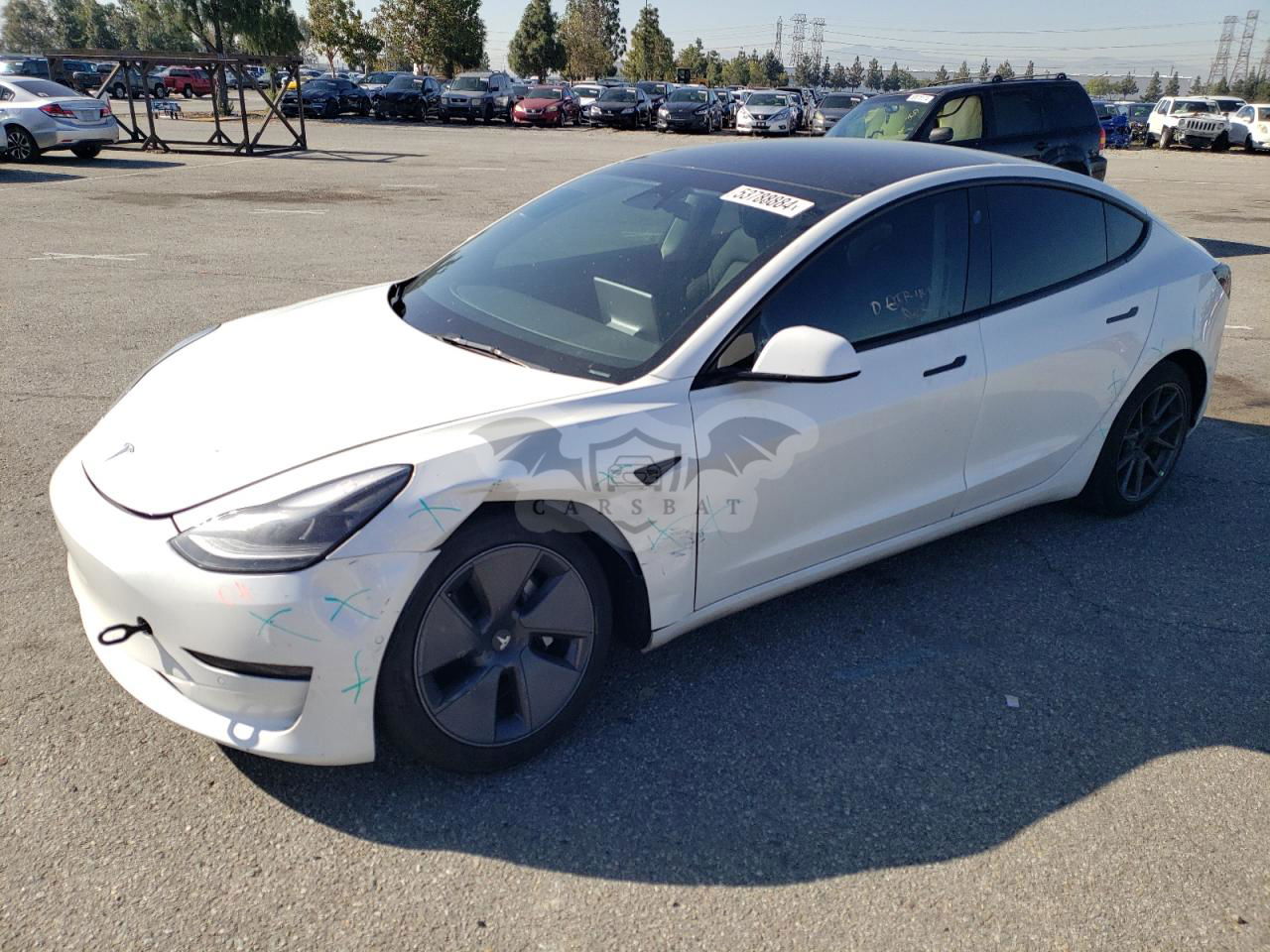 Tesla Model 3 2022