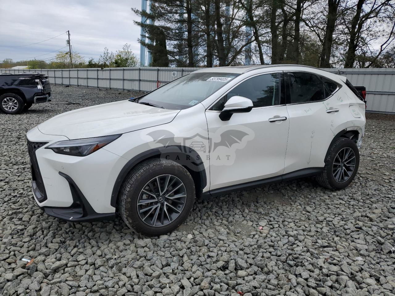 Lexus NX 350H BASE 2.5L  4 2024