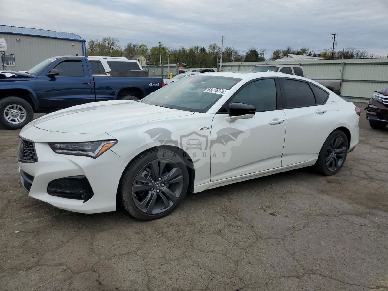 Acura TLX TECH A 2.0L  4 2023