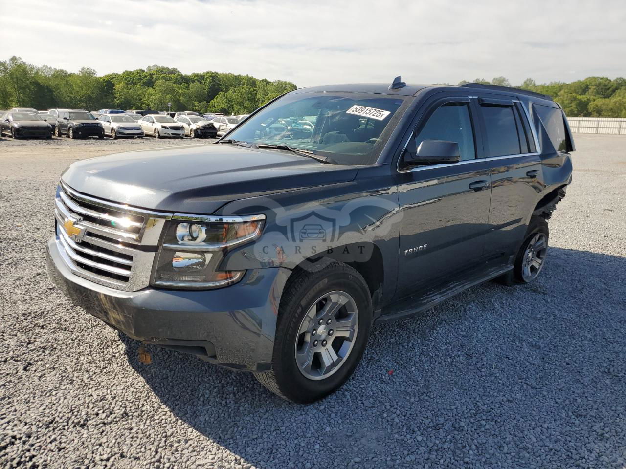 Chevrolet Tahoe C1500 LS 5.3L  8 2019