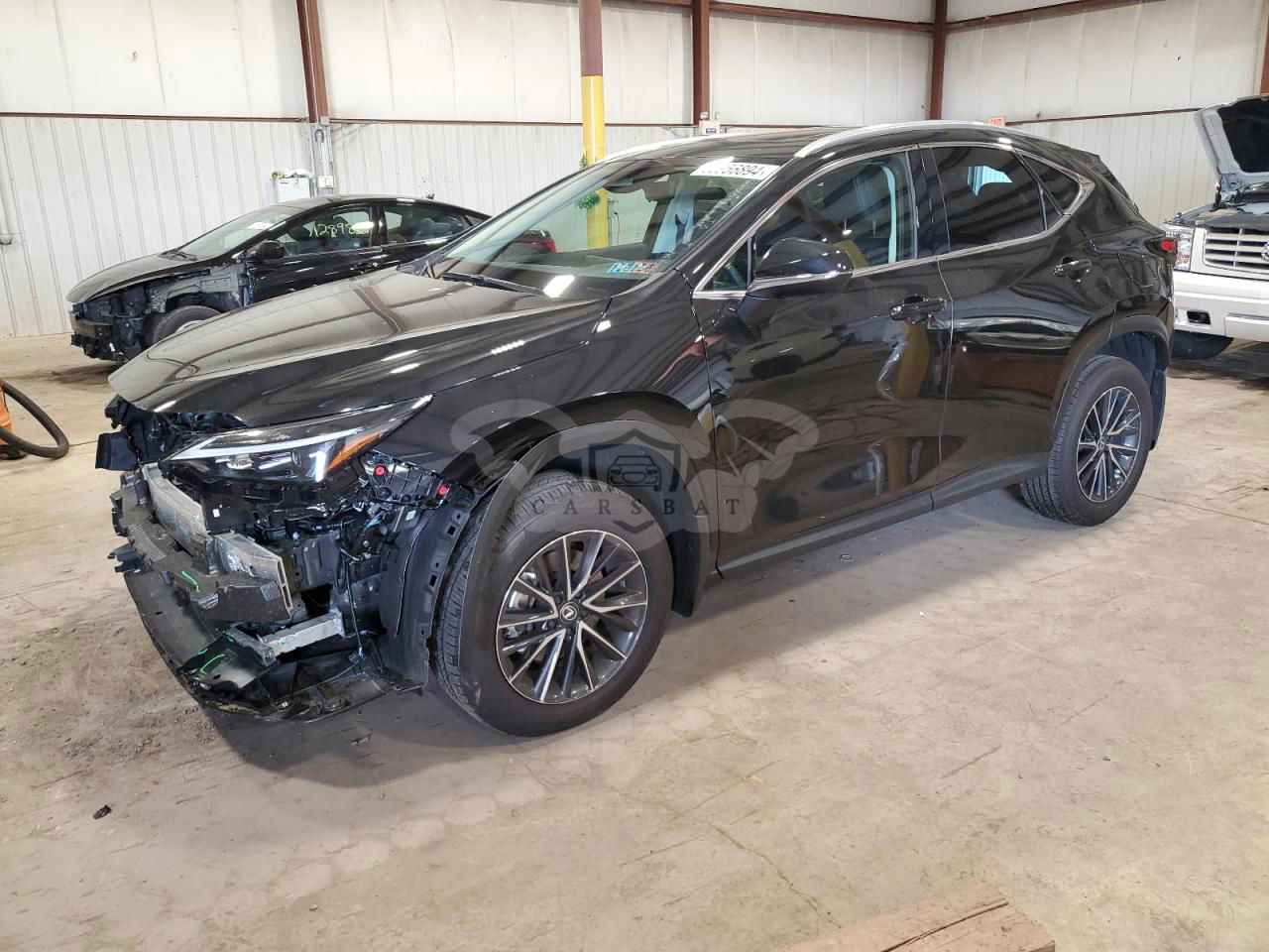 Lexus NX 2024
