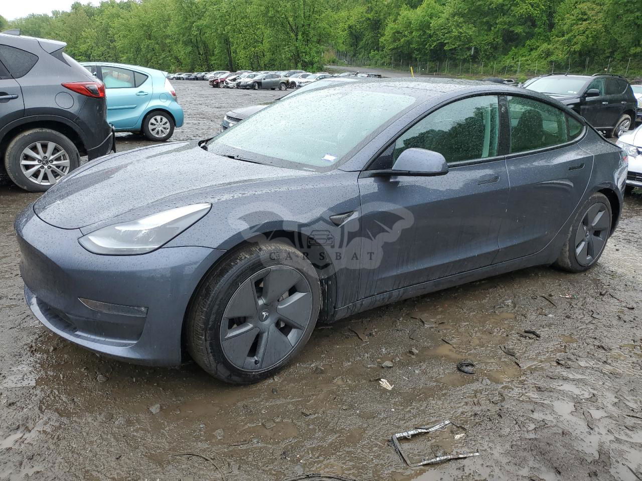 Tesla Model 3 2021