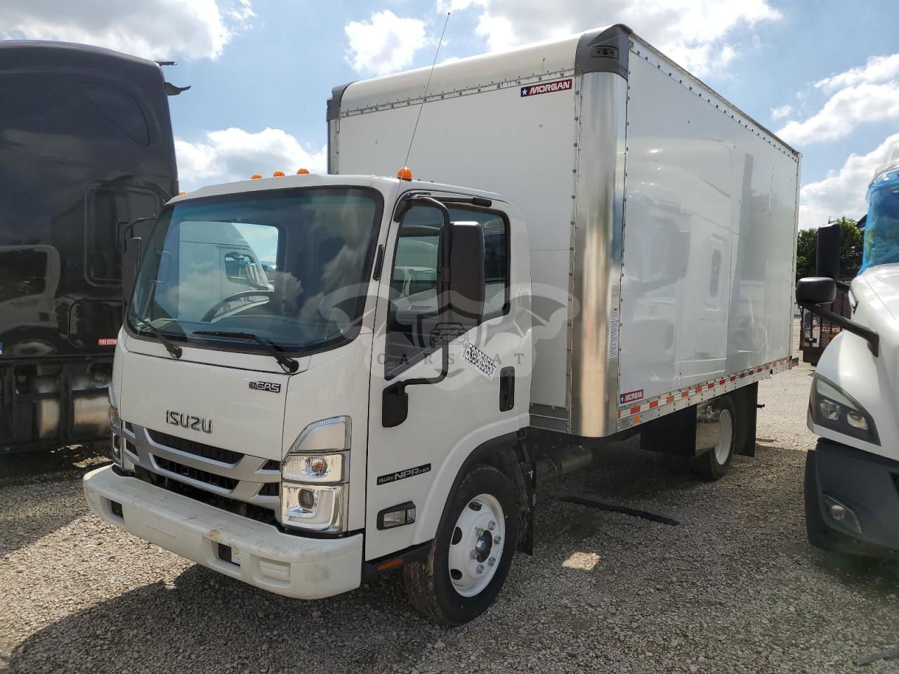 Isuzu NPR 6.6L  8 2024