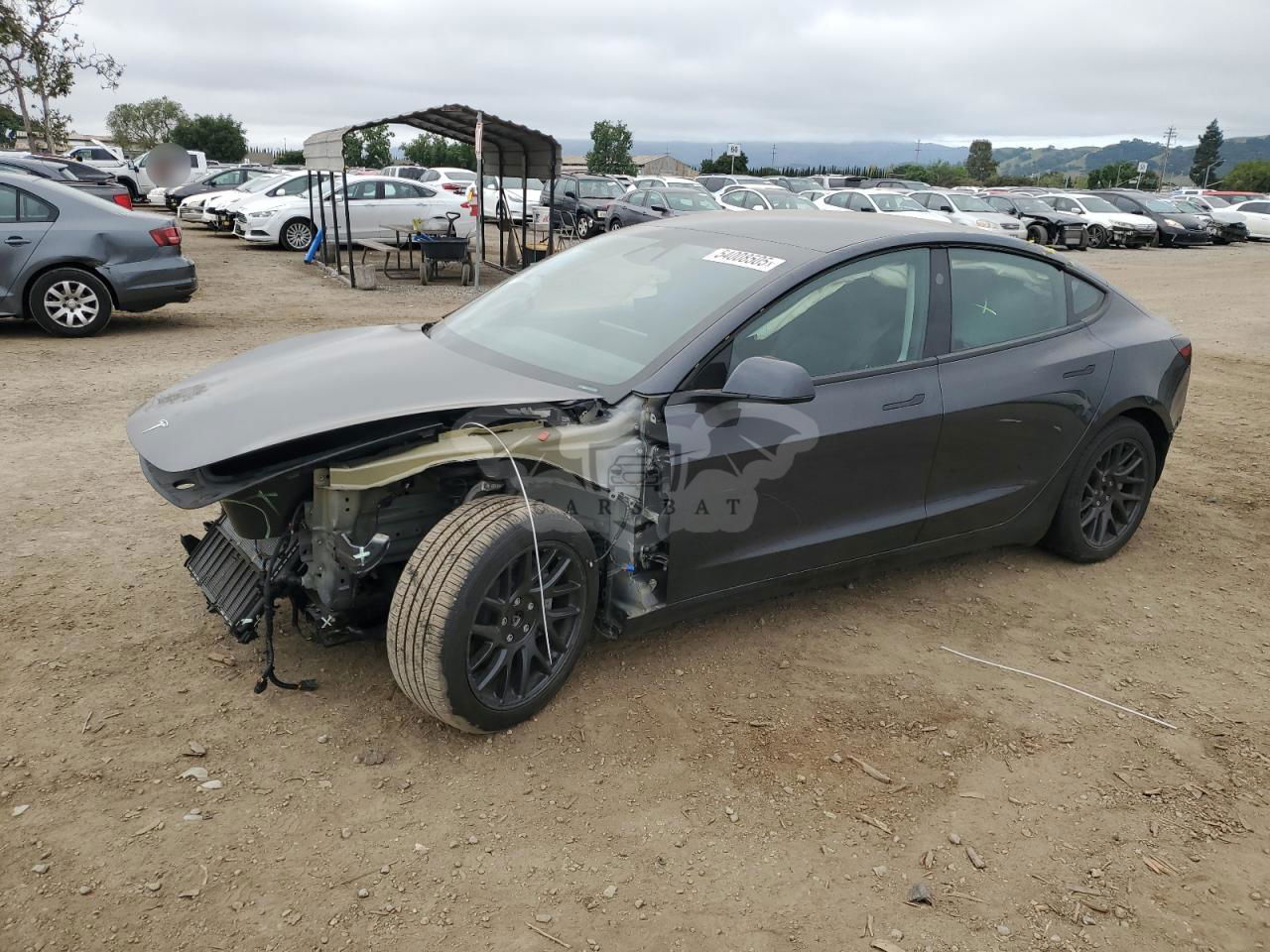Tesla Model 3 2024