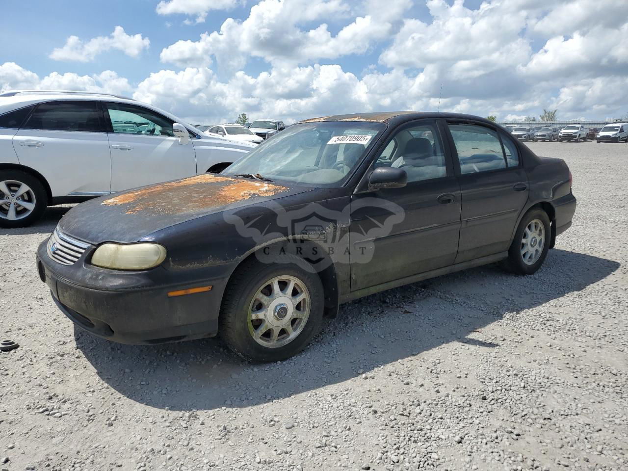 Chevrolet Malibu LS 3.1L  6 1998