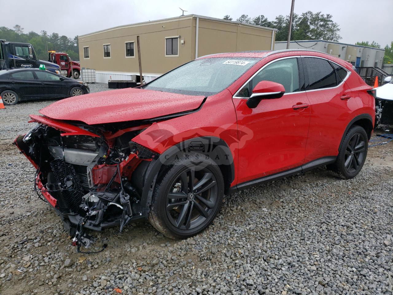 Lexus NX 2024