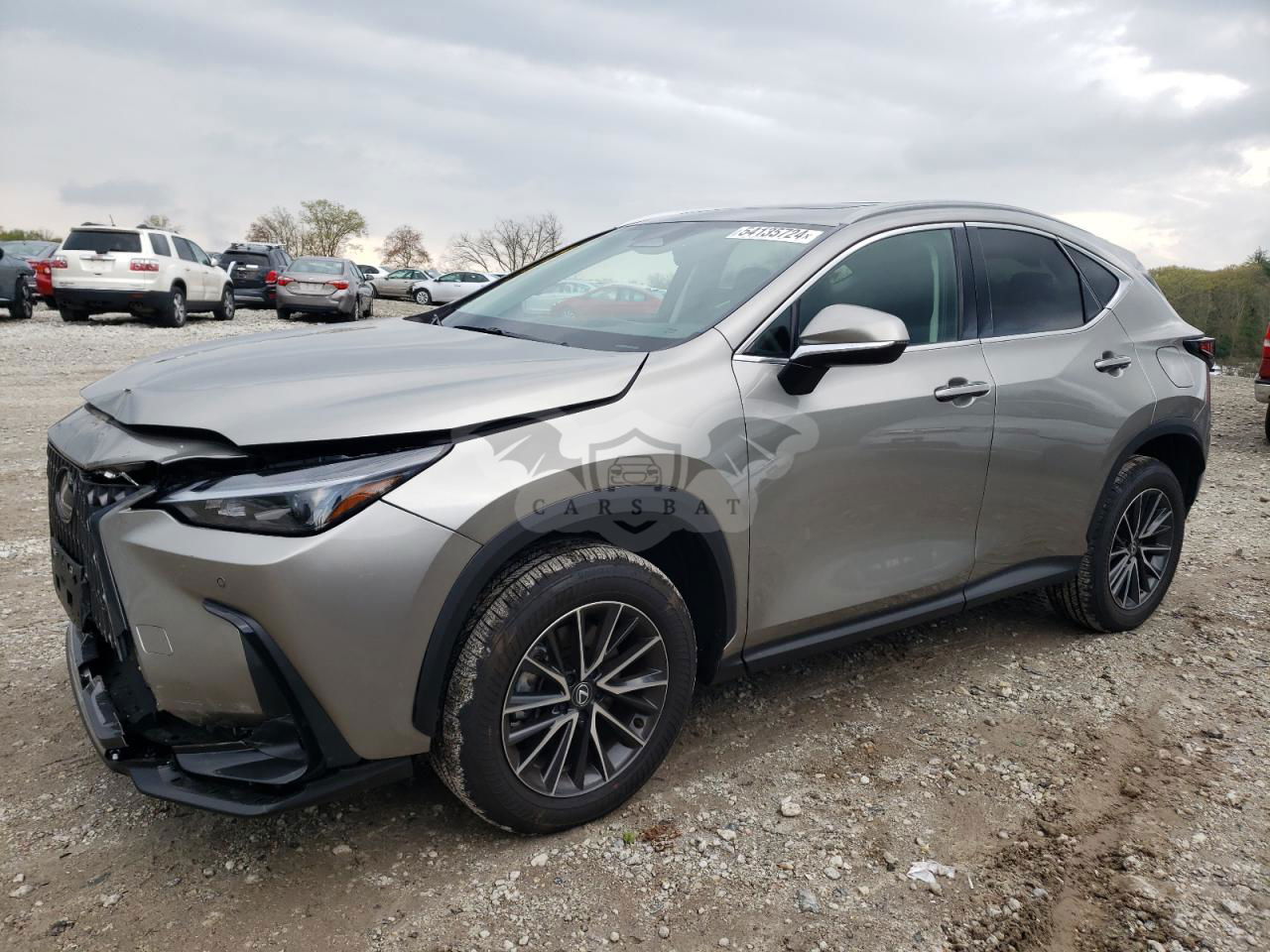 Lexus NX 2024