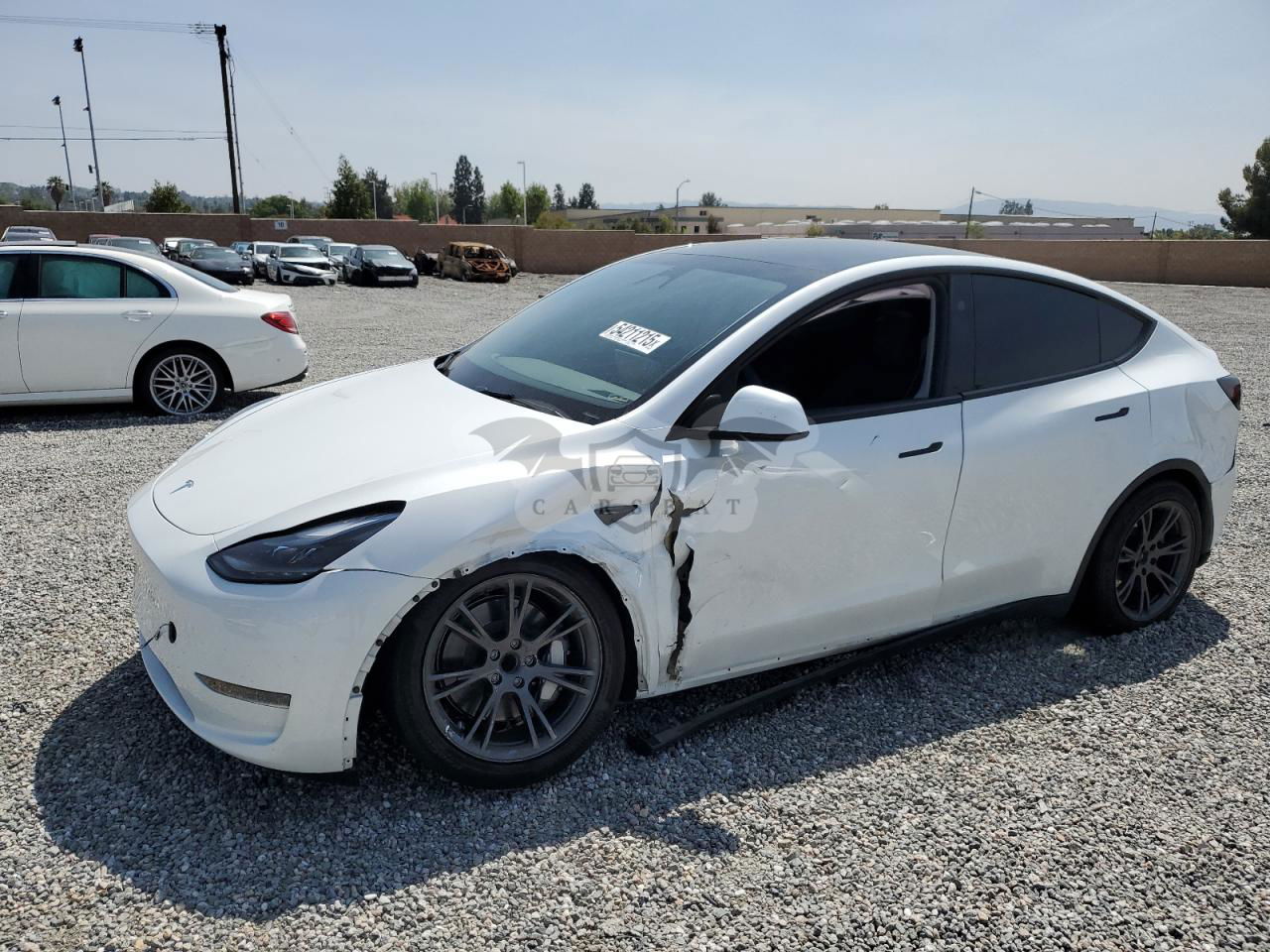 Tesla Model Y 2024