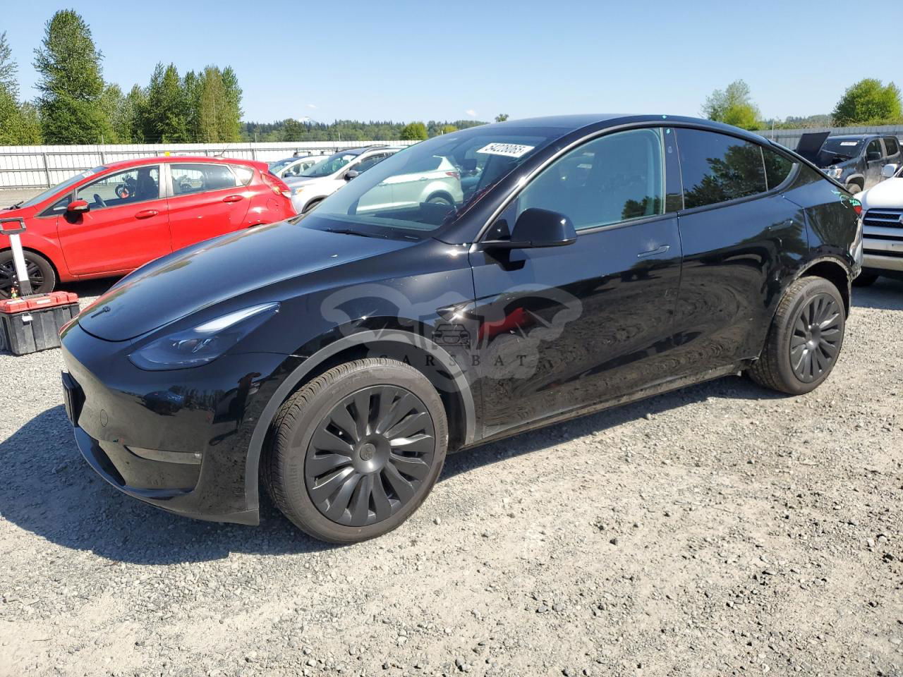 Tesla Model Y 2024