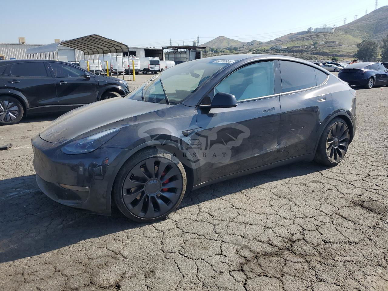 Tesla Model Y 2024
