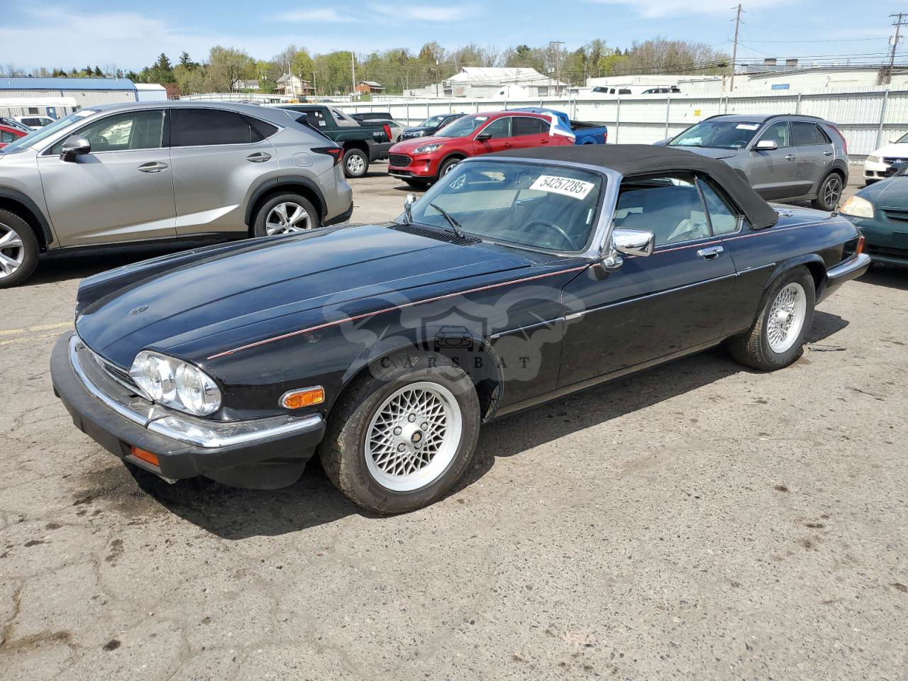 Jaguar XJS 5.3L 12 1989