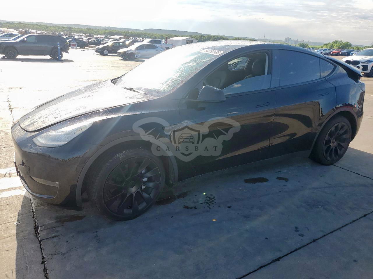Tesla Model Y 2021
