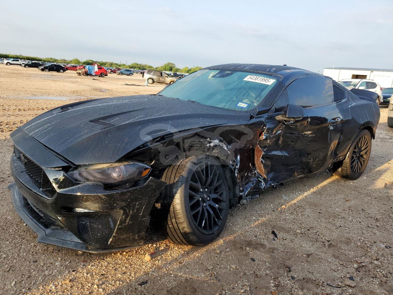 Ford Mustang GT 5.0L  8 2021